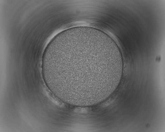 X0000110761051200907061050