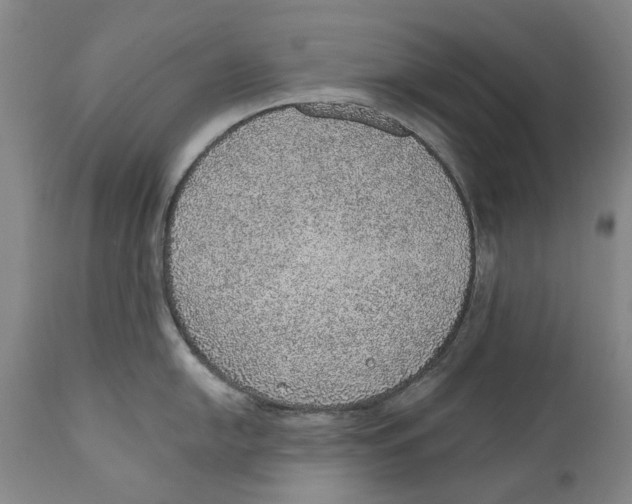 X0000110761054200907061050