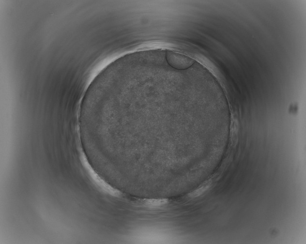 X0000110761055200907061050