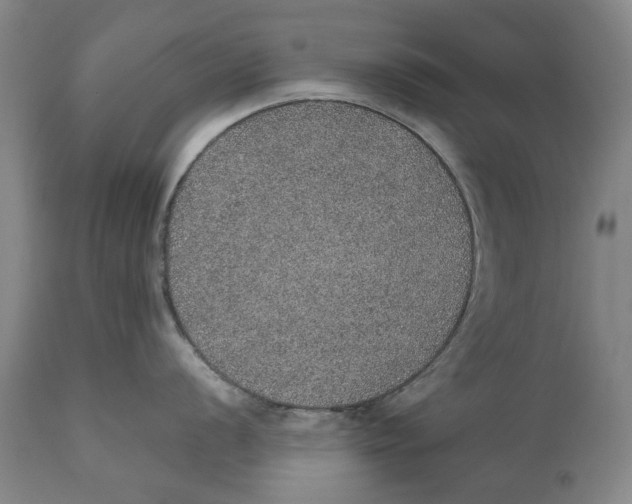 X0000110761056200907061050