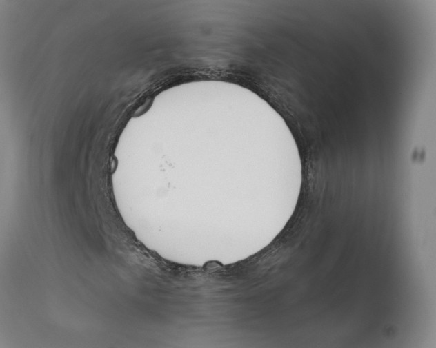 X0000110761057200907061050