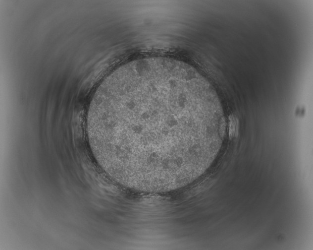 X0000110761059200907061050