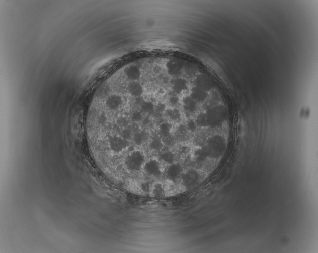 X0000110761063200907061050