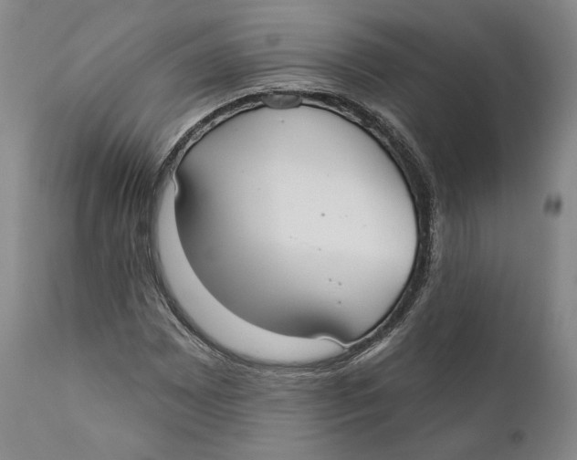 X0000110761065200907061050