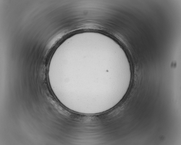 X0000110761067200907061050