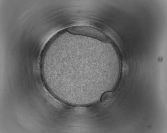 X0000110761068200907061049