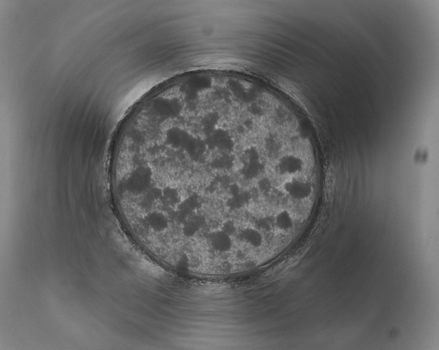 X0000110761071200907061049