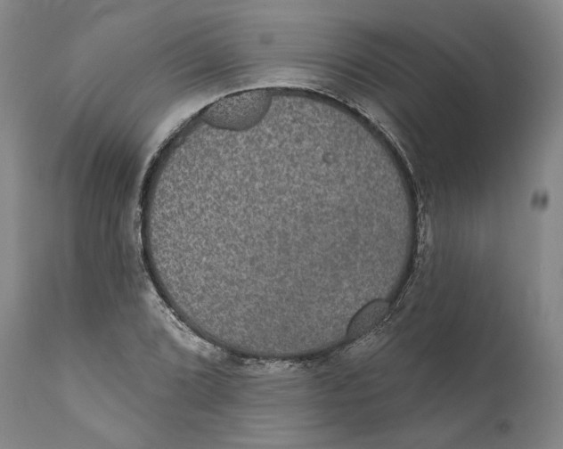 X0000110761072200907061049