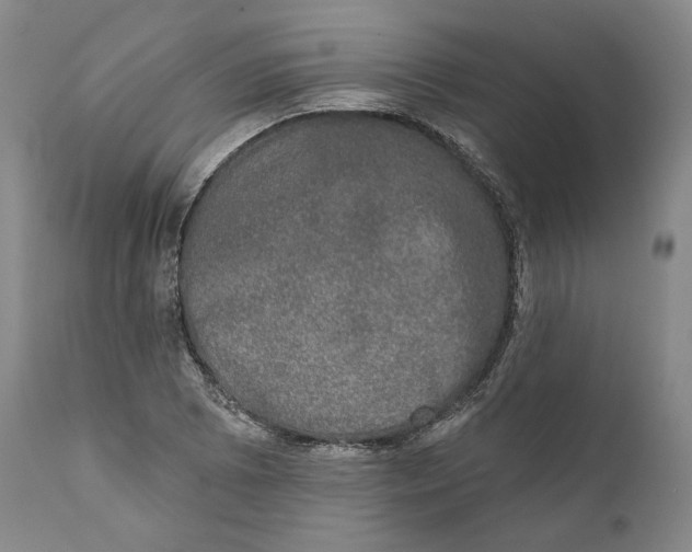 X0000110761073200907061049