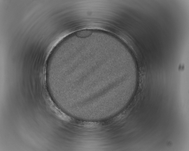 X0000110761076200907061049