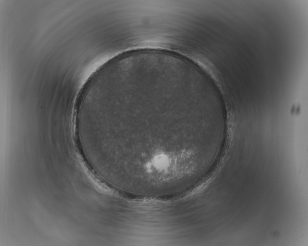 X0000110761077200907061049