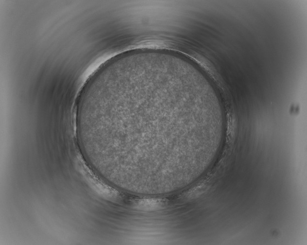 X0000110761078200907061049