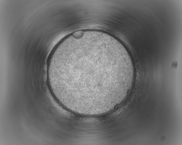 X0000110761079200907061049