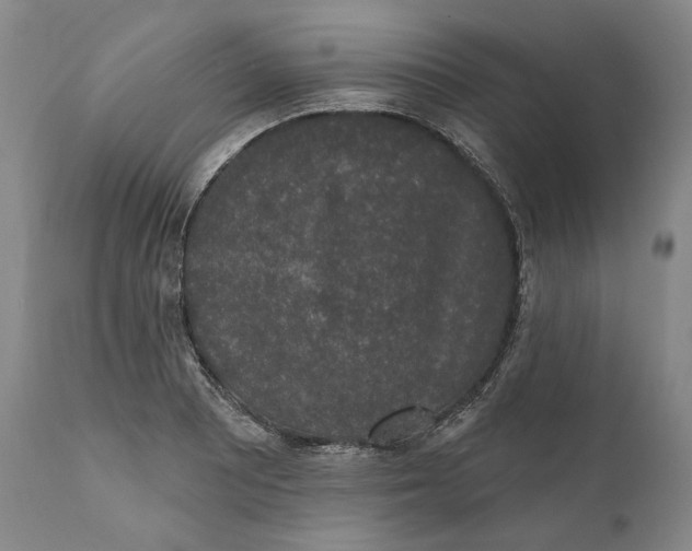 X0000110761081200907061049