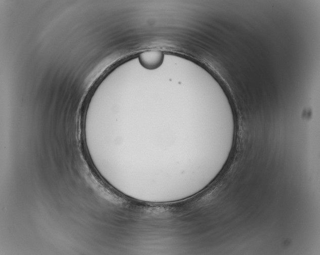 X0000110761082200907061049