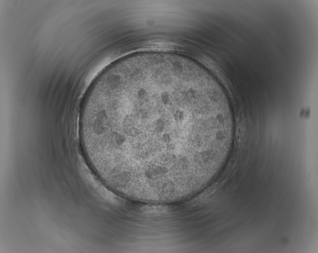 X0000110761083200907061049