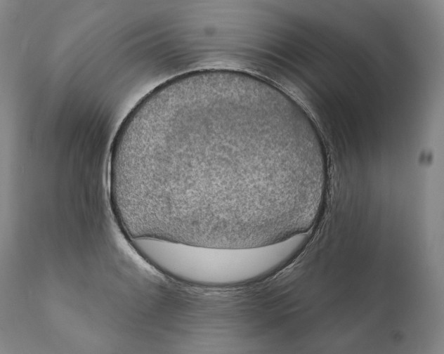 X0000110761084200907061049