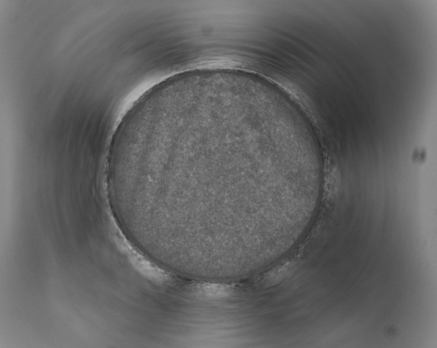X0000110761086200907061049
