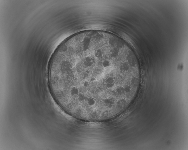 X0000110761087200907061049