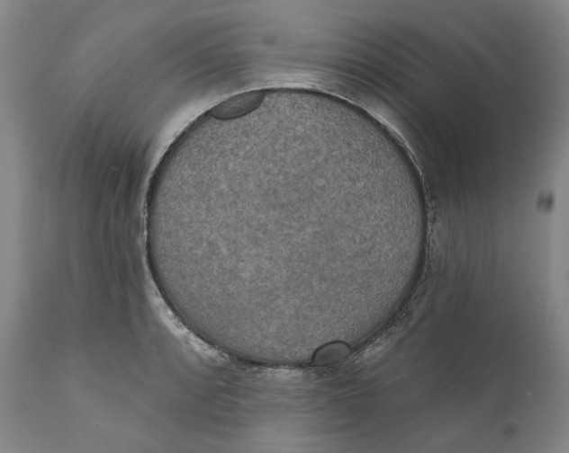 X0000110761088200907061049