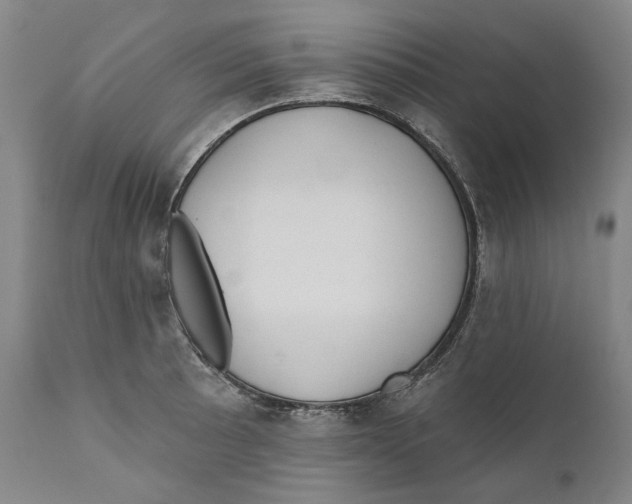 X0000110761089200907061049