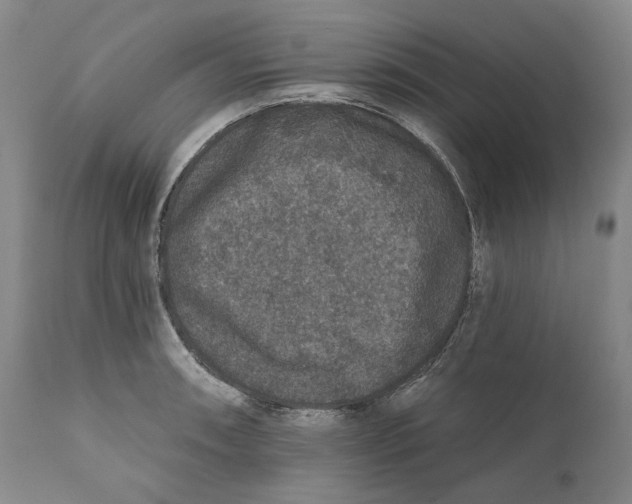 X0000110761090200907061049
