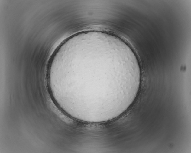 X0000110761091200907061049