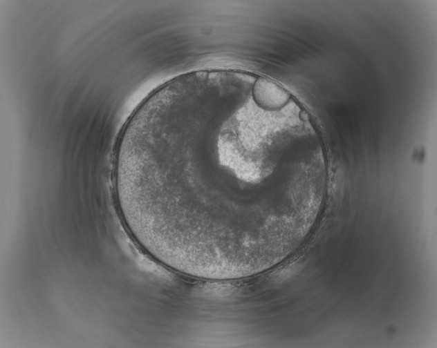 X0000110761094200907061049