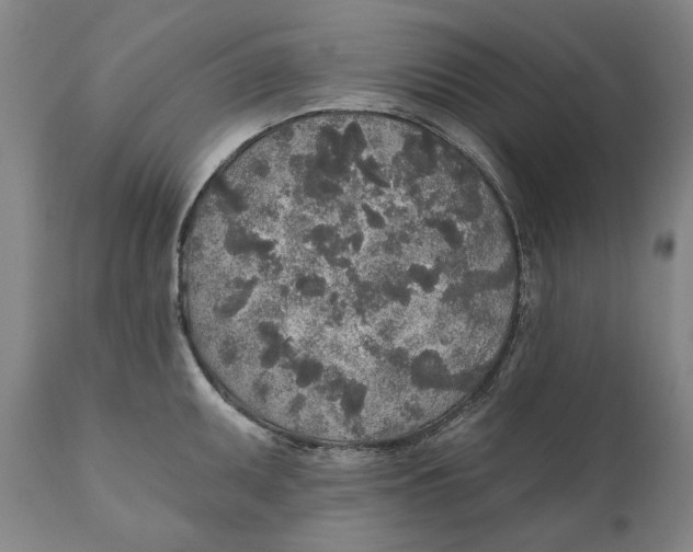 X0000110761095200907061049