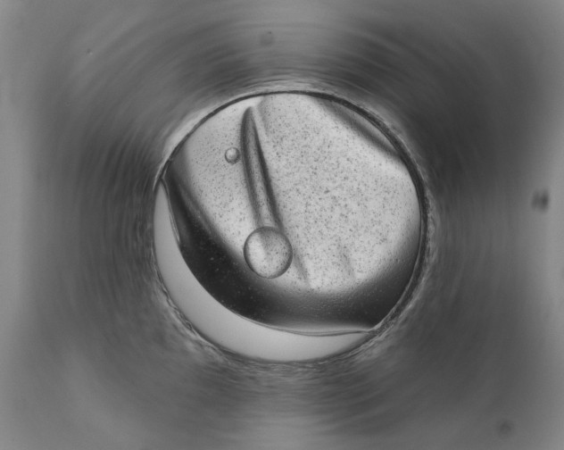 X0000110761097200907061049