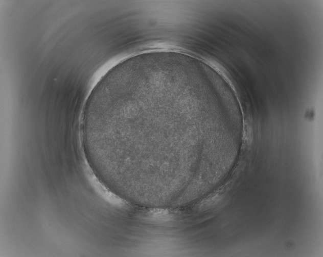 X0000110761098200907061049