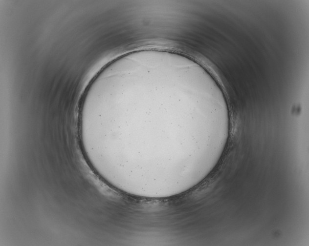 X0000110761099200907061049