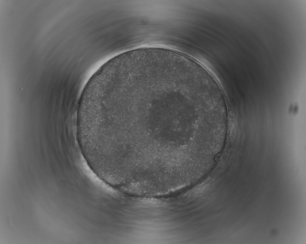X0000110761100200907061049