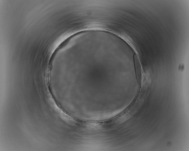 X0000110761101200907061049