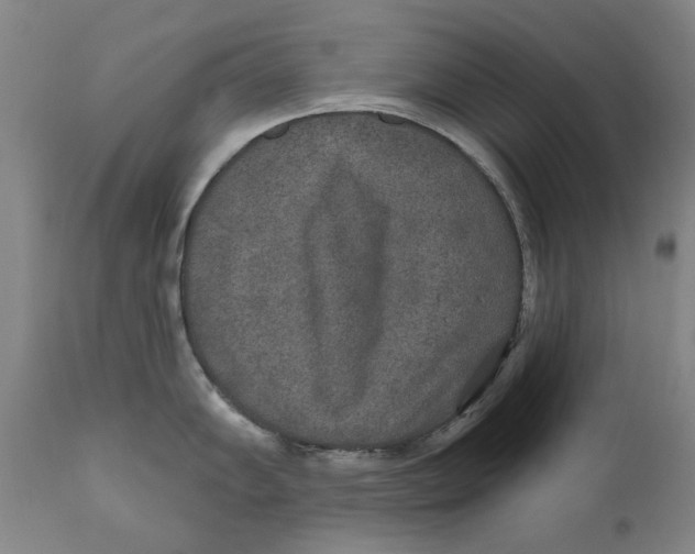 X0000110761102200907061049