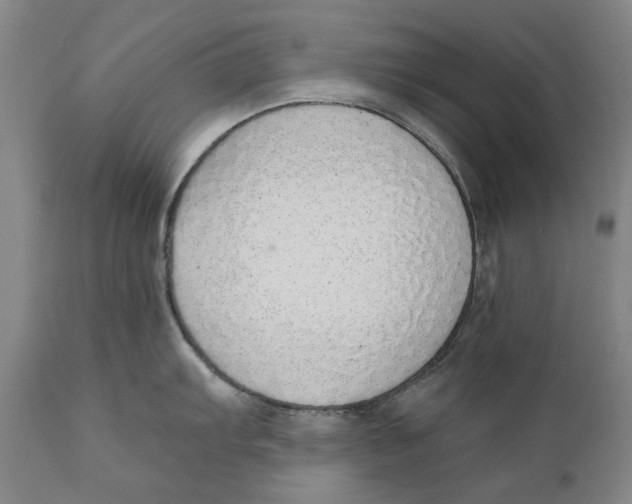 X0000110761103200907061049