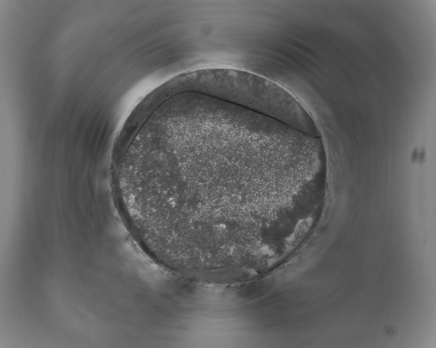X0000110761104200907061049