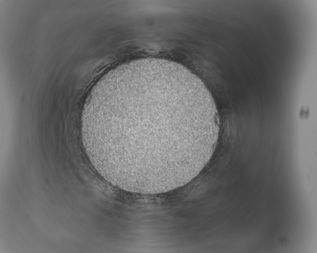 X0000110761105200907061048