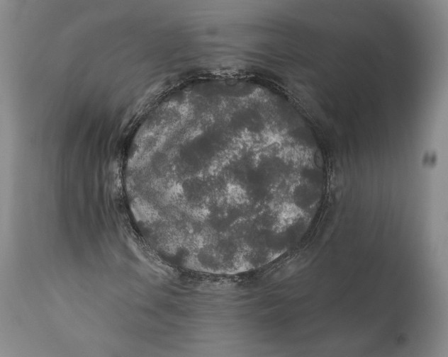 X0000110761106200907061048