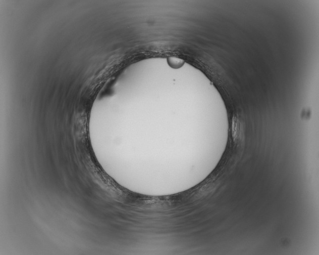 X0000110761107200907061048