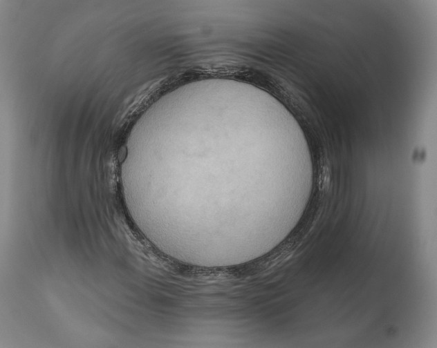 X0000110761108200907061048