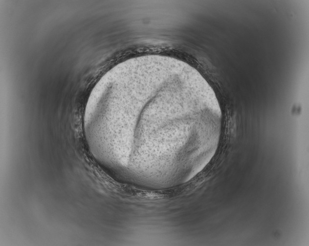 X0000110761109200907061048