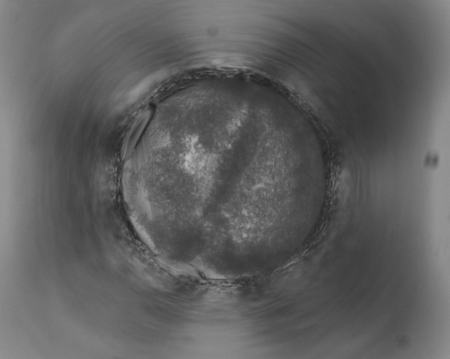 X0000110761110200907061048