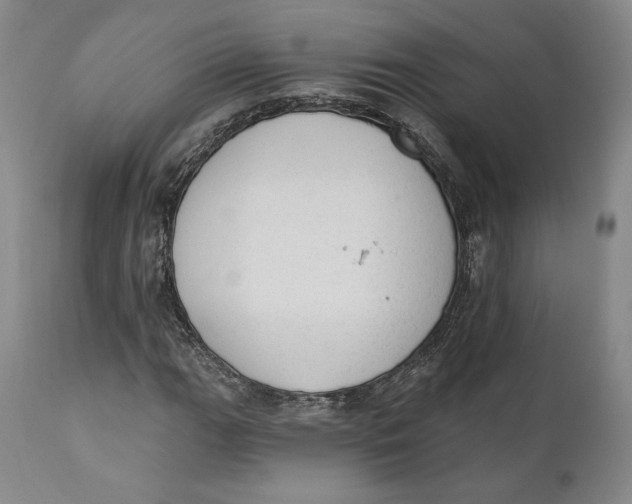 X0000110761111200907061048