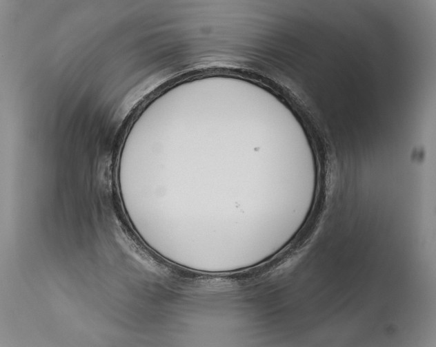 X0000110761113200907061048