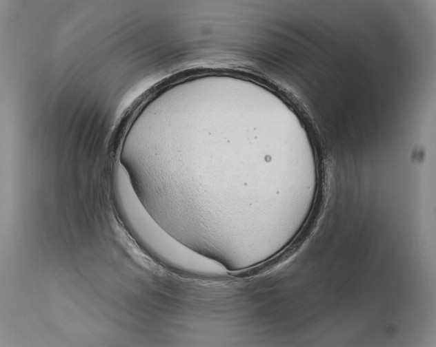 X0000110761114200907061048