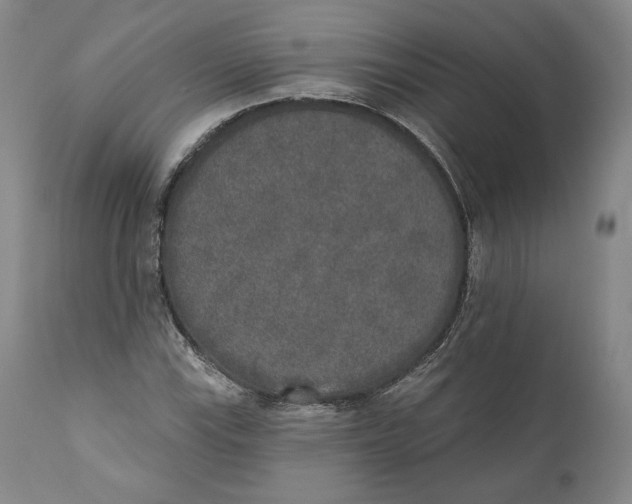X0000110761115200907061048