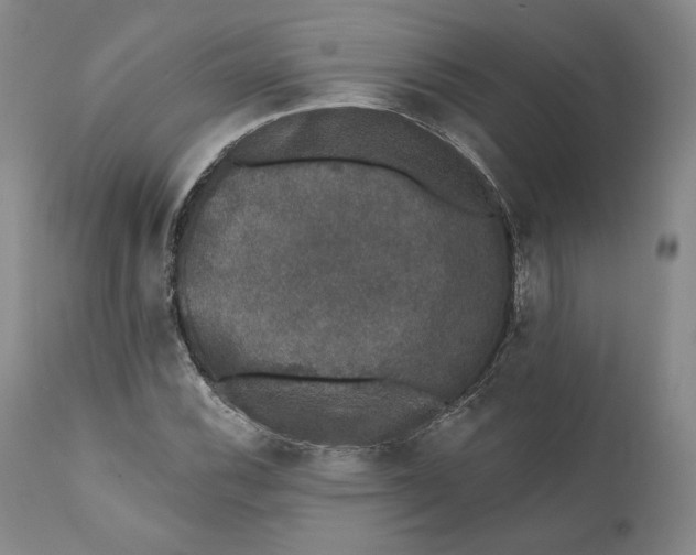 X0000110761116200907061048