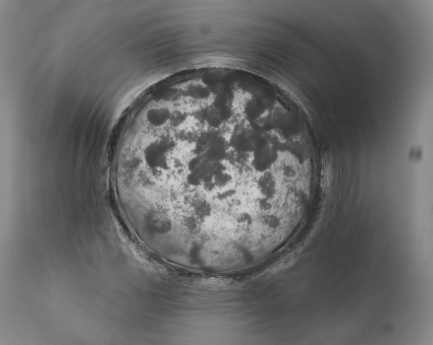 X0000110761117200907061048