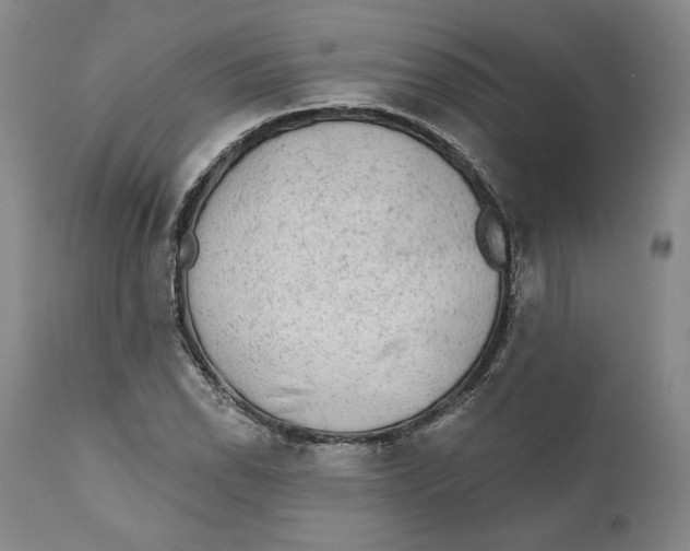 X0000110761118200907061048